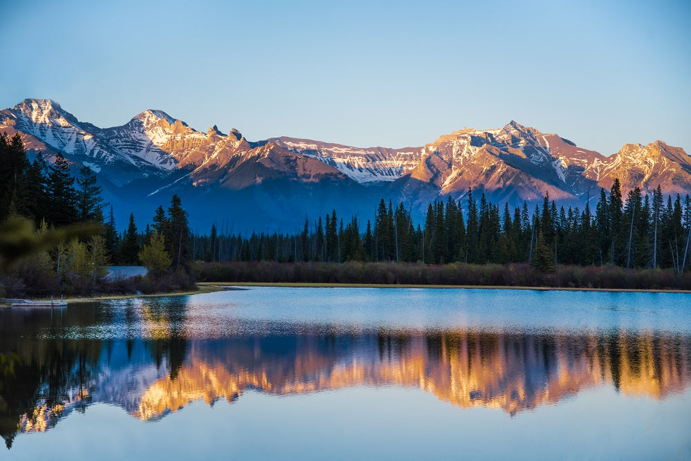 Last Light Wall Mural