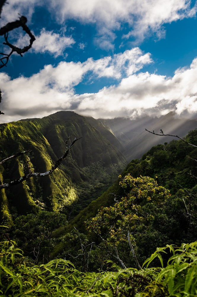 Maui Landscape Wall Mural