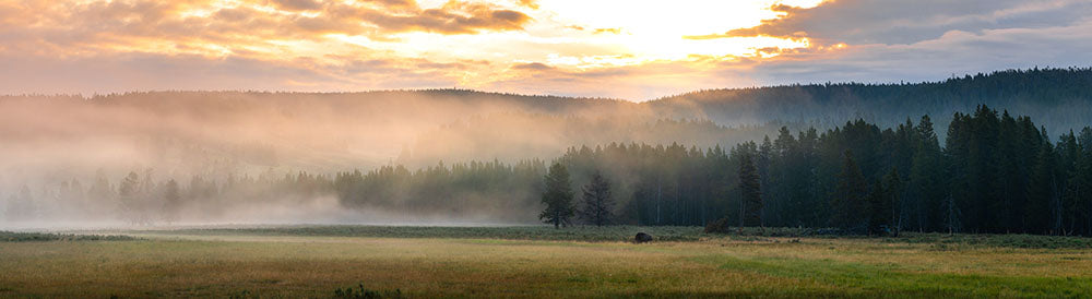 Meadow Sunrise Panorama Wall Mural