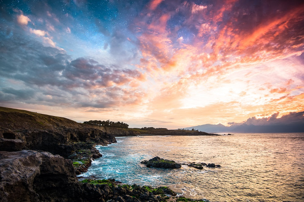 Night and Day Wall Mural