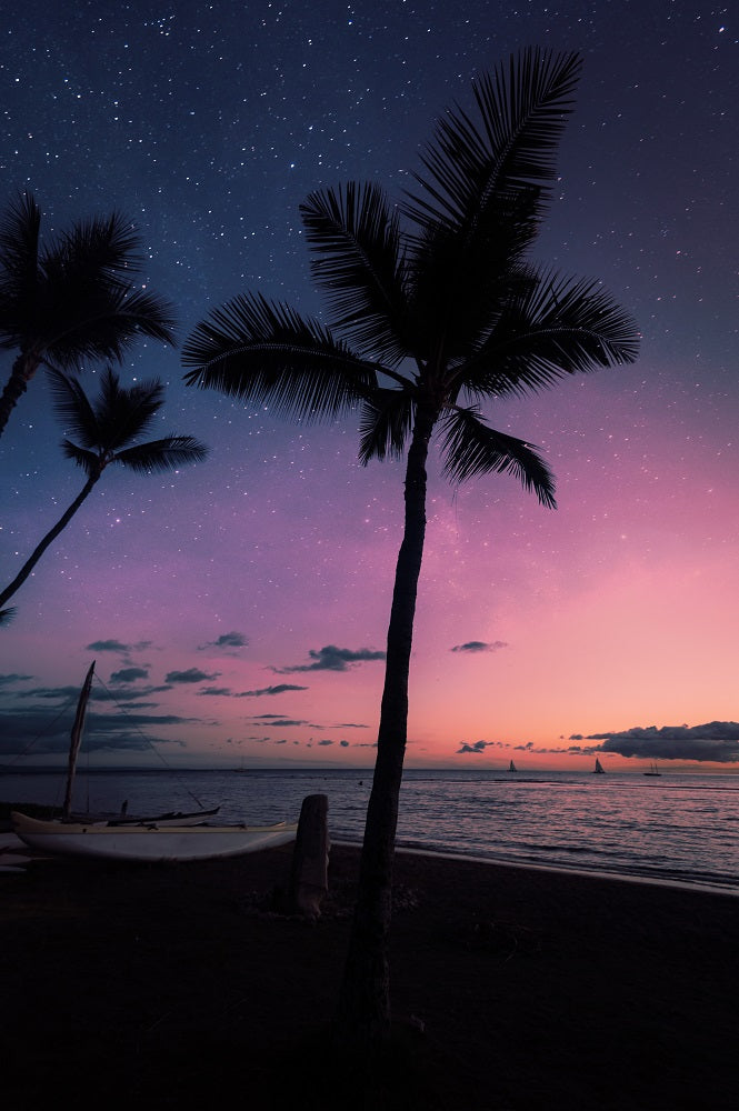 Night Wonder Wall Mural