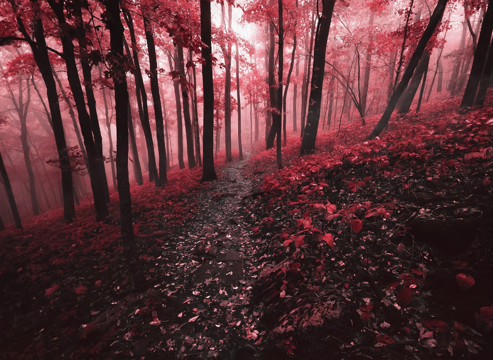 Red Forest Wall Mural