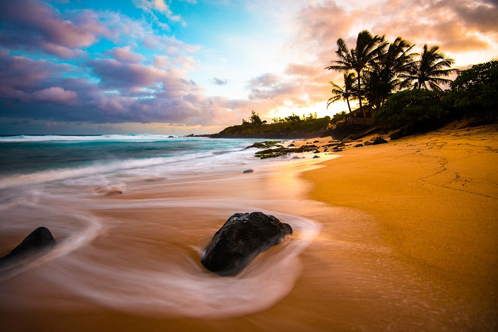 Sunrise Bliss Wall Mural