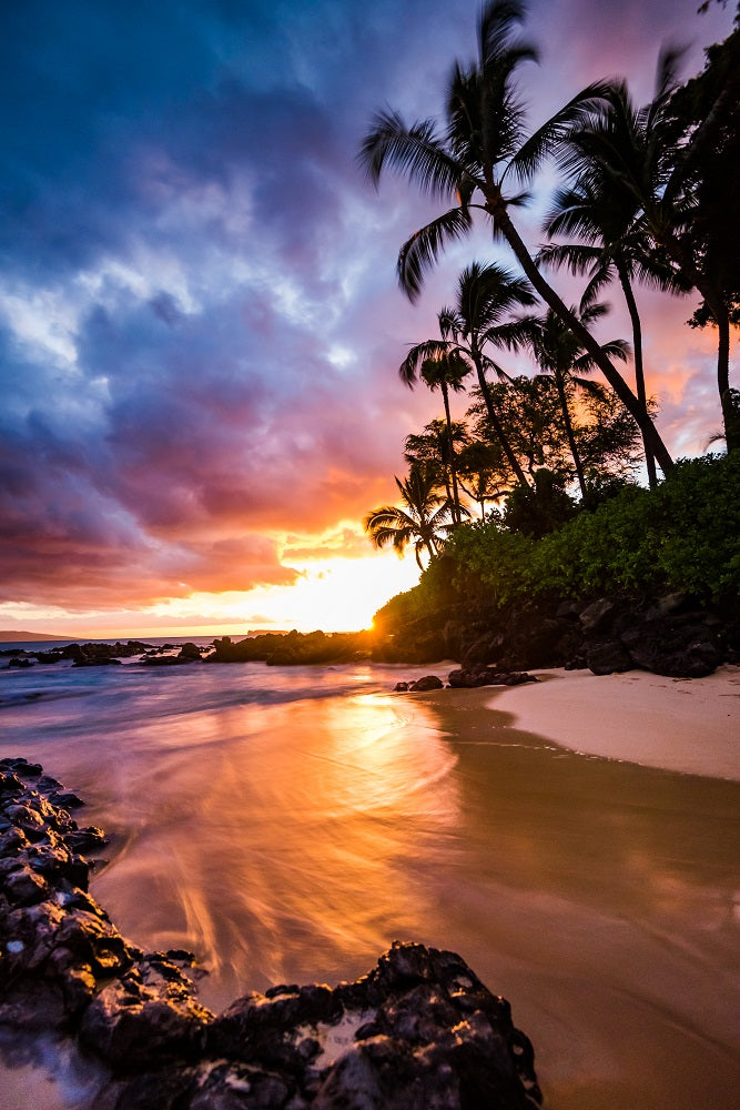 Sunset by the Beach Wall Mural