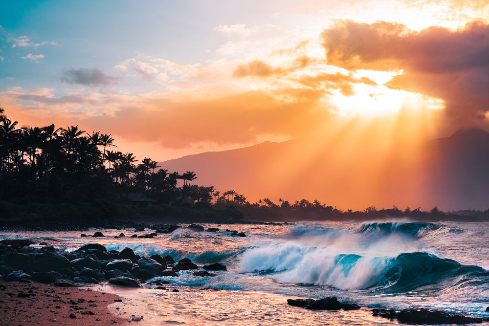 Sunset Paradise Wall Mural