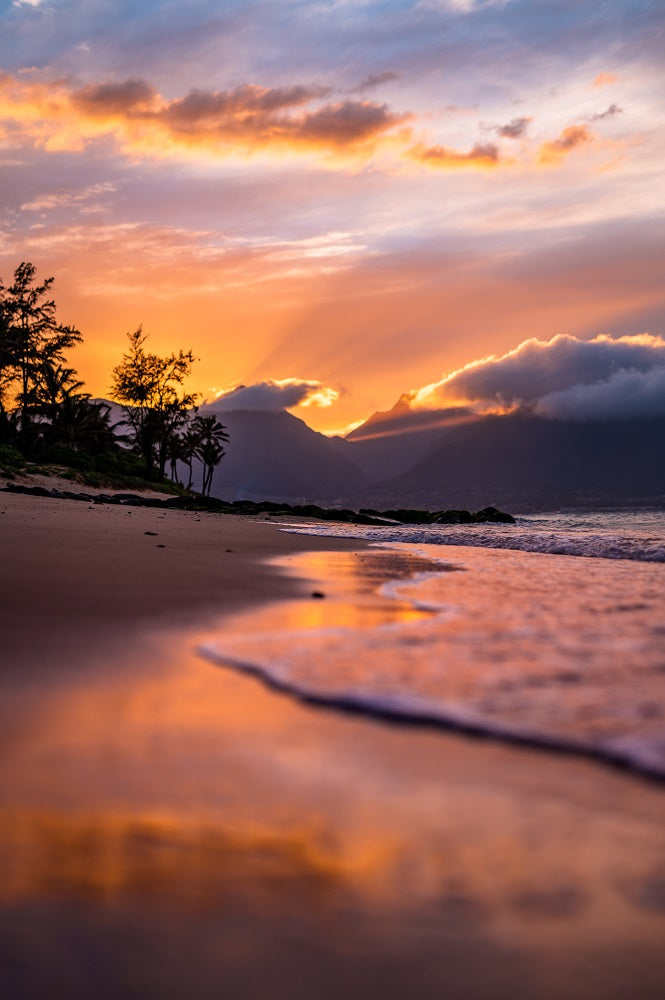 Maui Reflections Wall Mural