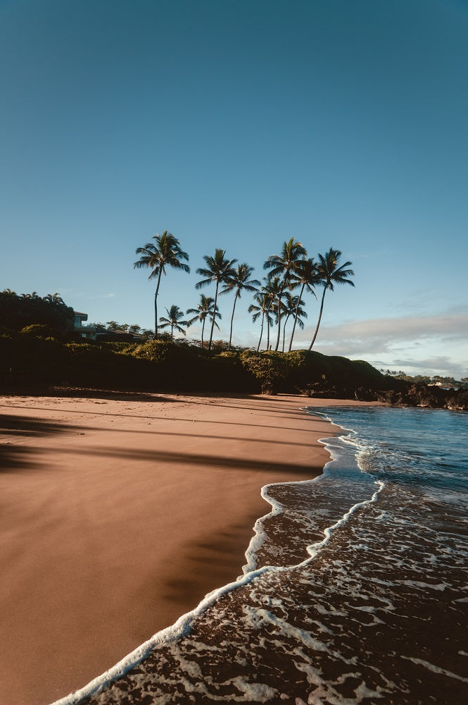 Morning Walk On The Beach Wall Mural