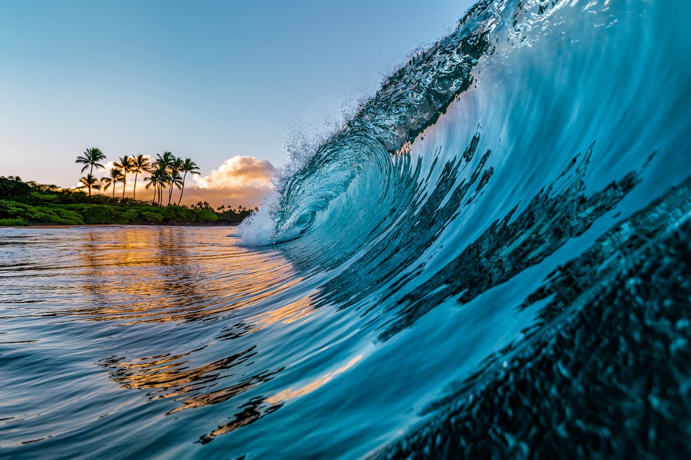 Morning Wave Wall Mural