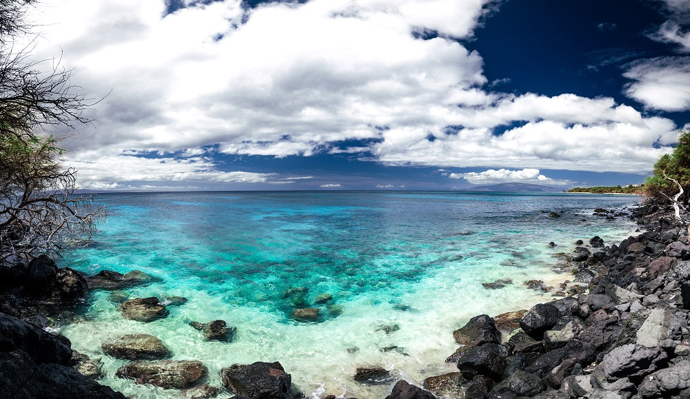 Rocky Hawaii Beach Panorama Wall Mural