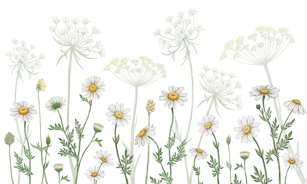 Dazzling Daisies Wall Mural