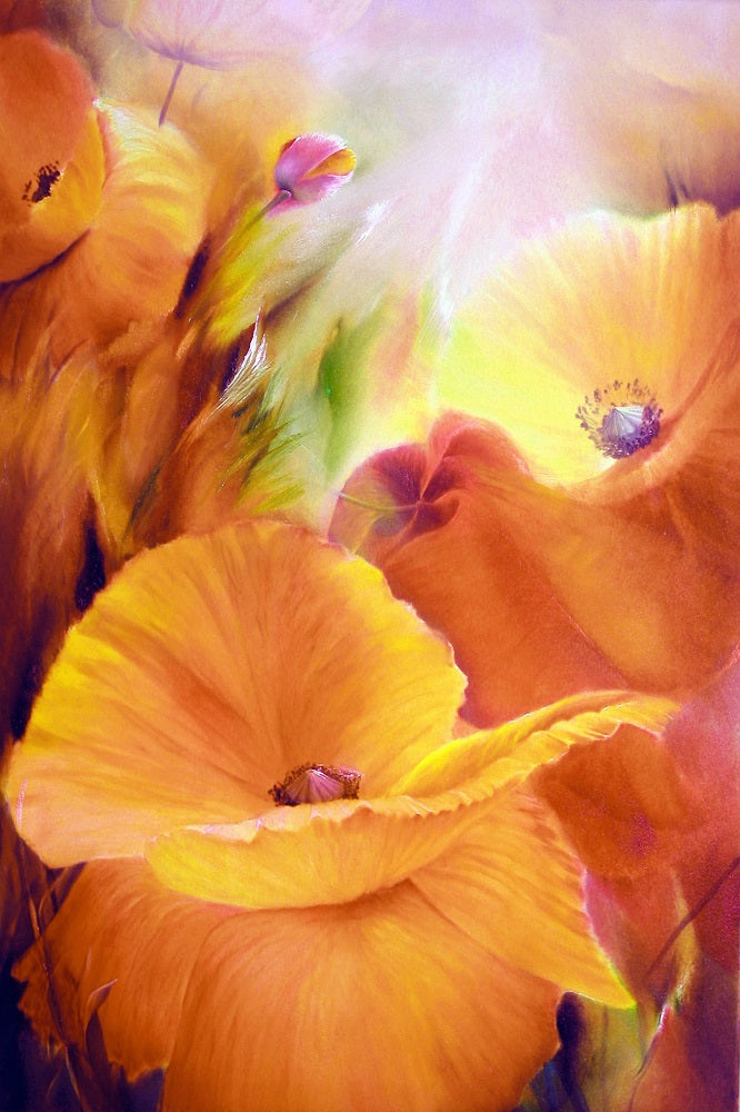 A Summer Day With the Poppies Wall Mural