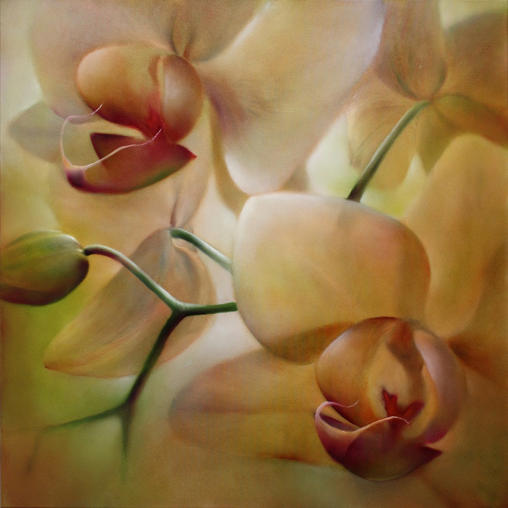 Orchids Wall Mural
