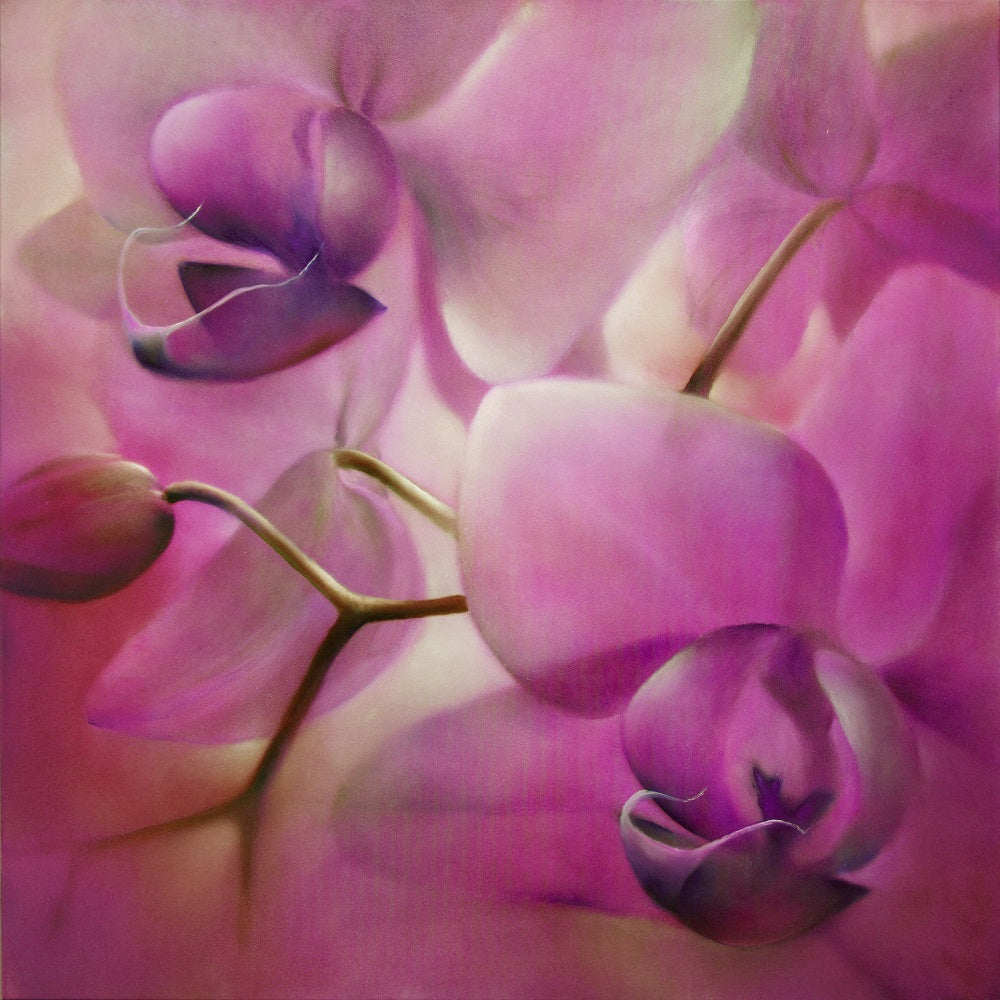 Pink Orchids Wall Mural