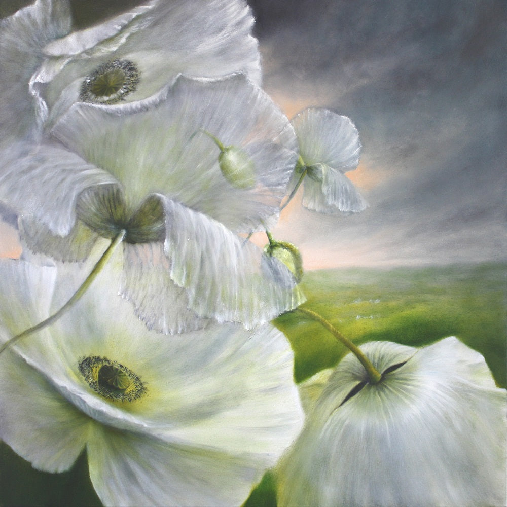 White Poppies in the Summer Wind Wall Mural