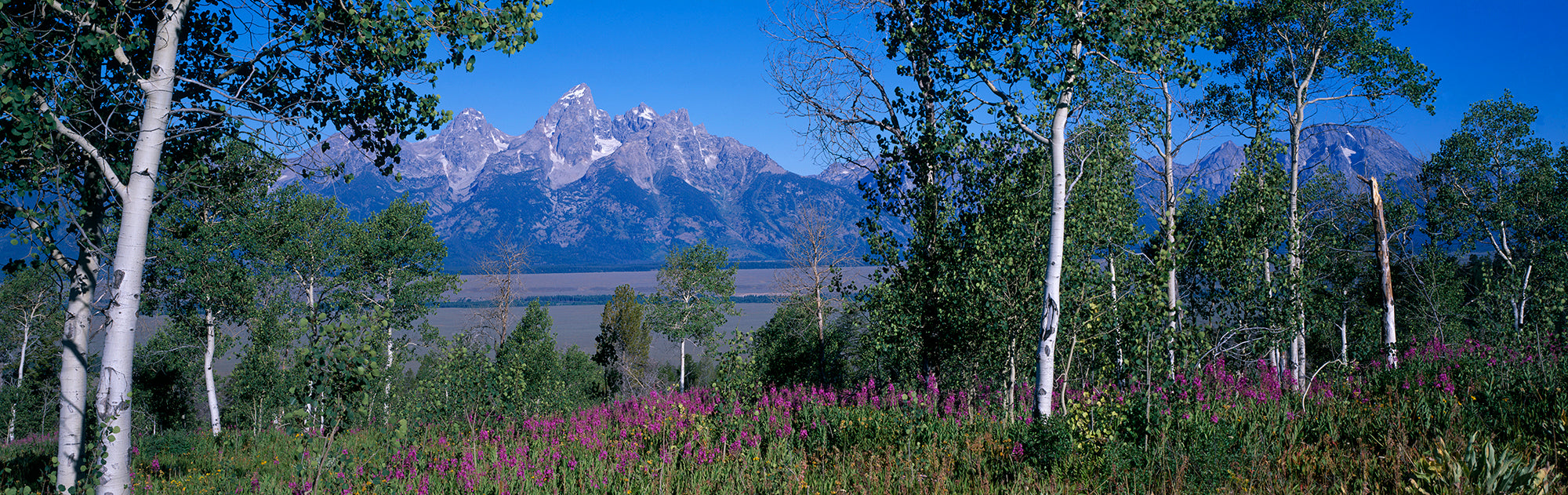 USA, Wyoming, Grand Teton Park Wall Mural