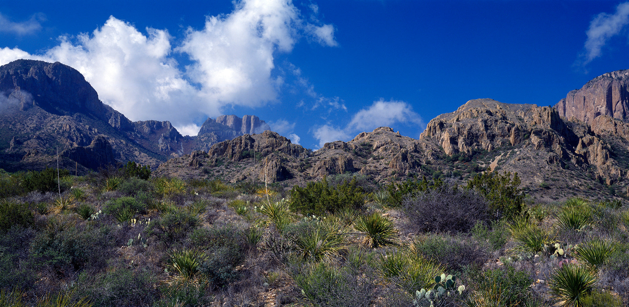 The Chisos Mountains Big Bend National Park TX USA Wall Mural