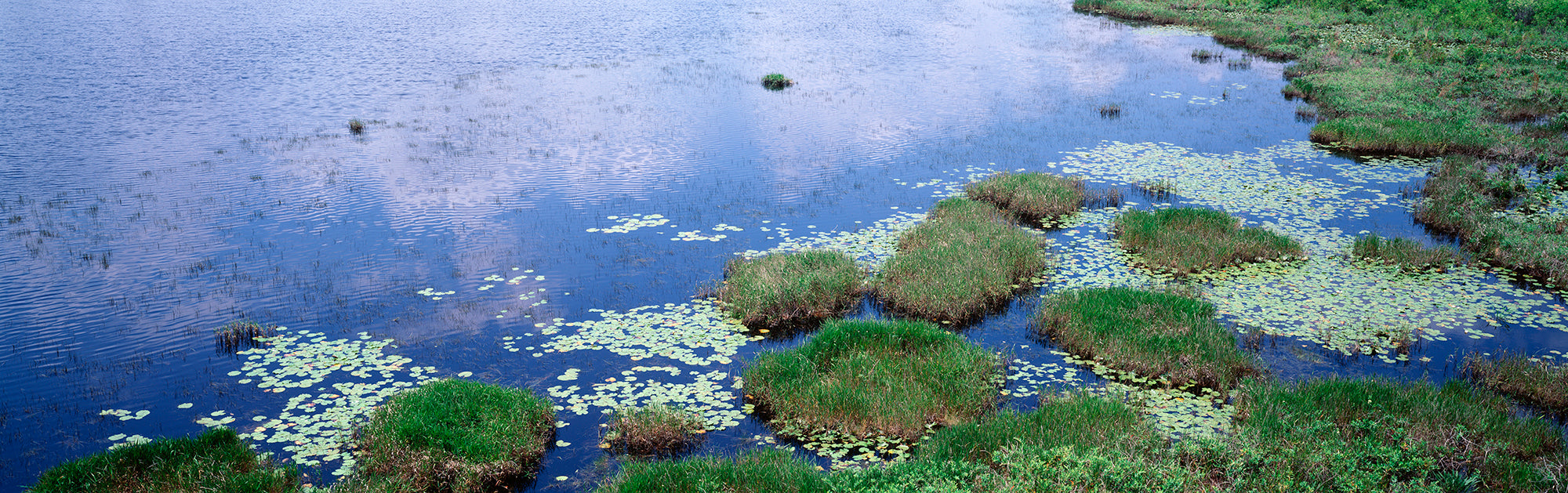 Reflection Of Clouds In Water, Suwannee Canal, Okefenokee National Wildlife Refuge, Georgia, USA Wall Mural