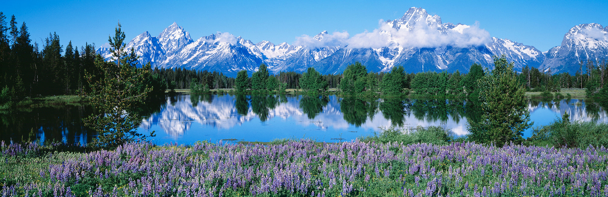 Reflection Of Mountain Range On Water, Teton Range, Grand Teton National Park, Wyoming, USA Wall Mural