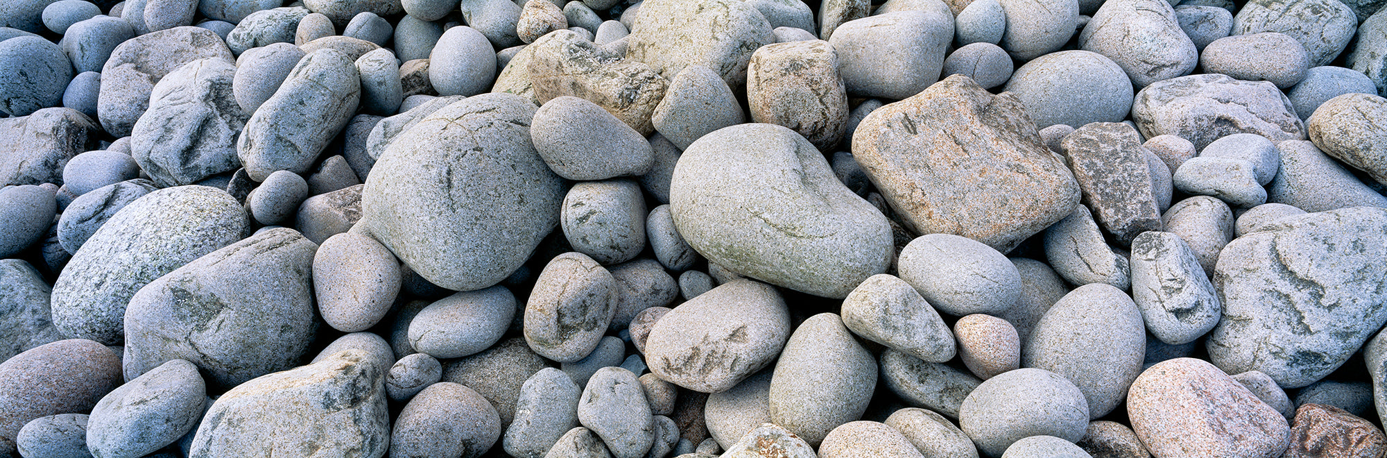 Beach Rocks Acadia National Park ME USA Wall Mural