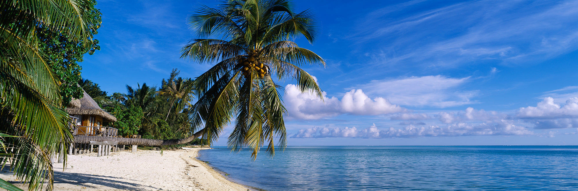 Tourist Resort On The Beach, Matira Beach, Bora Bora, French Polynesia Wall Mural