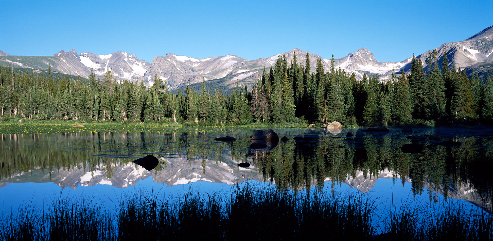 The Indian Peaks Reflected In Red Rock Lake Boulder Colorado USA Wall Mural
