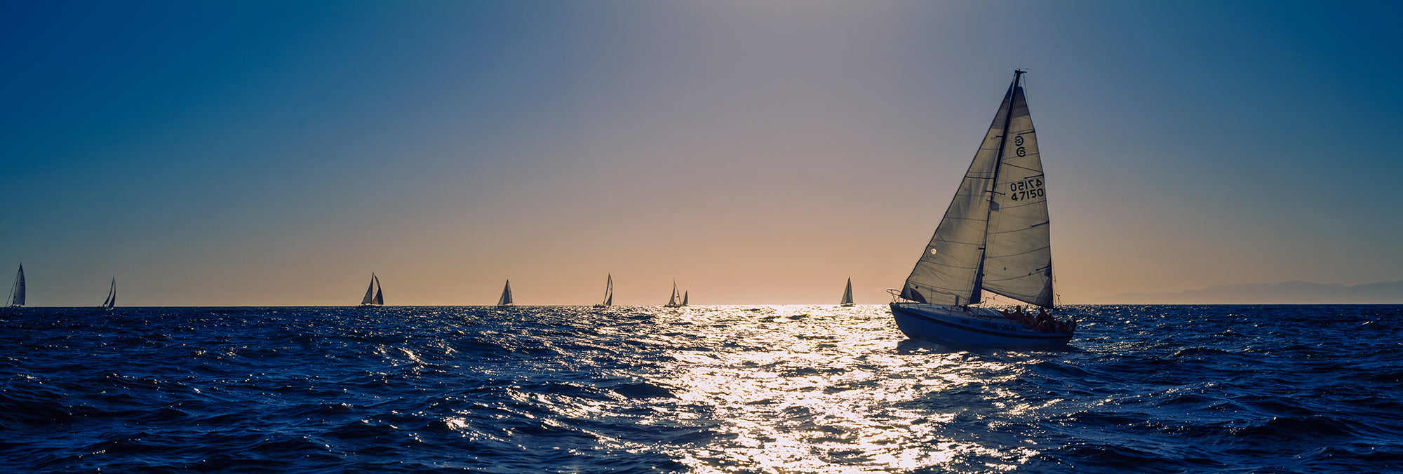 Sailboats In The Ocean, California, USA Wall Mural