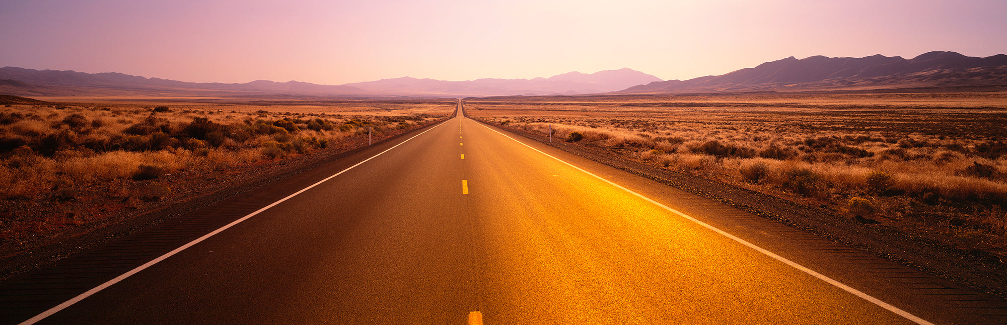 Desert Road, Nevada, USA Wall Mural