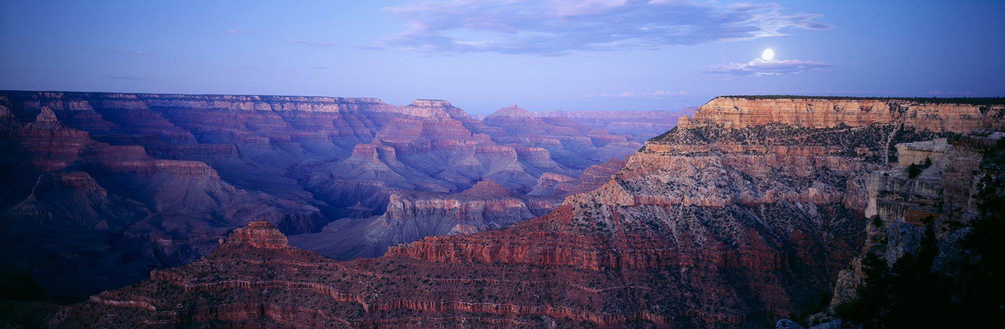 High Angle View Of A Canyon, Grand Canyon National Park, Arizona, USA Wall Mural