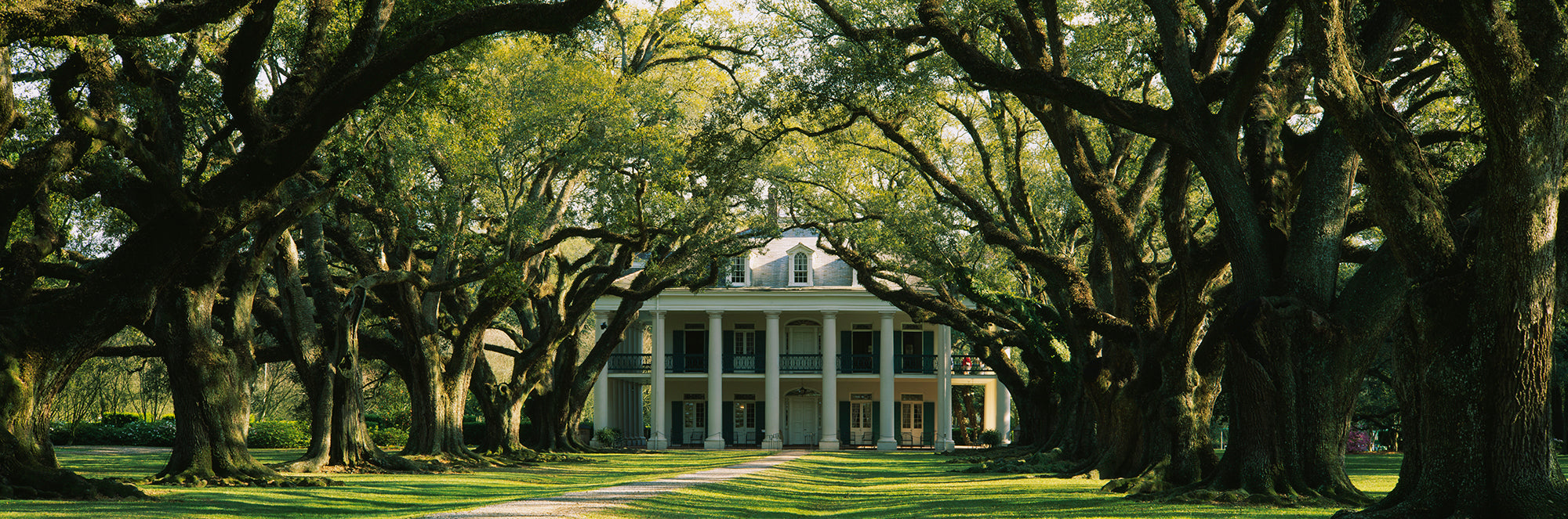 Oak Trees In Front Of A Mansion, Oak Alley Plantation, Vacherie, Louisiana, USA Wall Mural