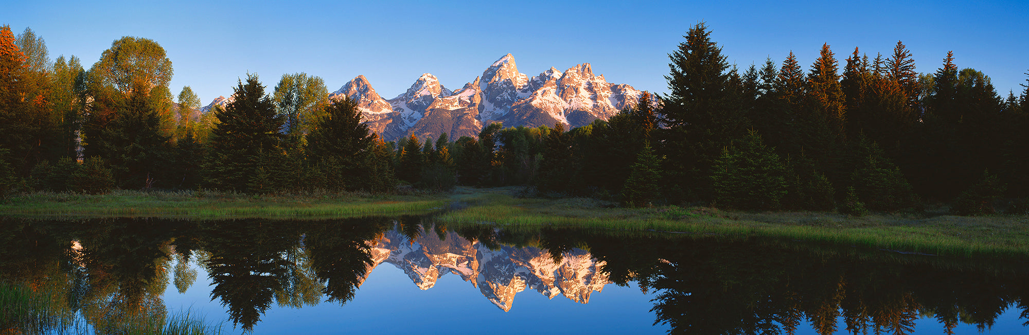 Beaver Pond Grand Teton National Park WY Wall Mural