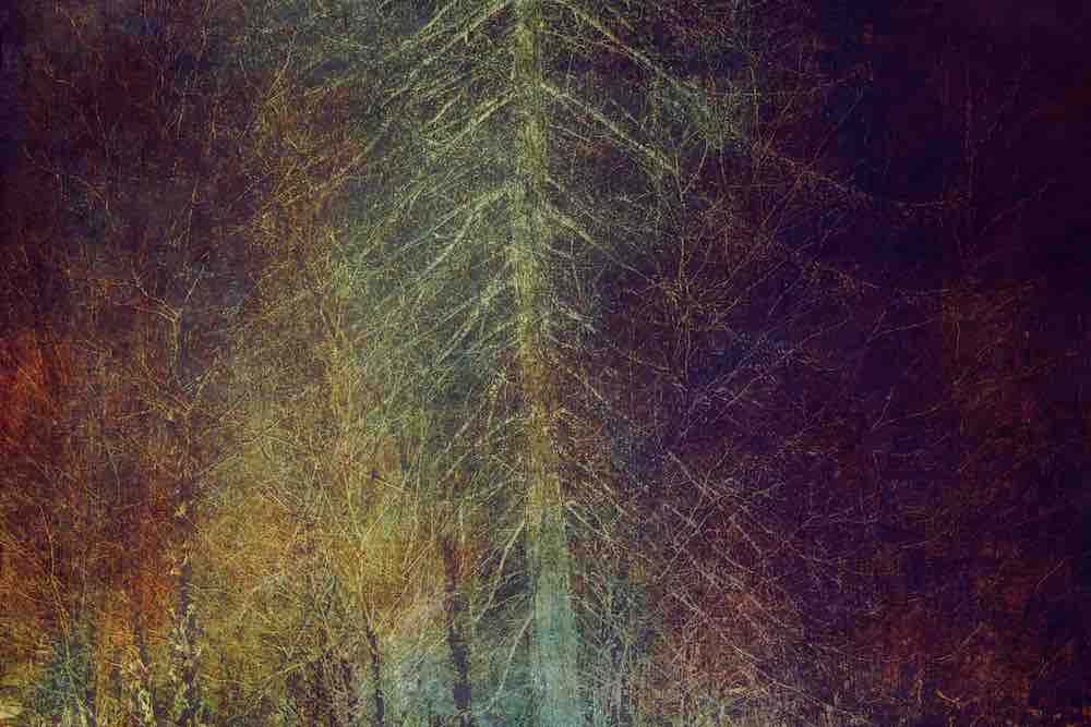 Forest Fire Wall Mural
