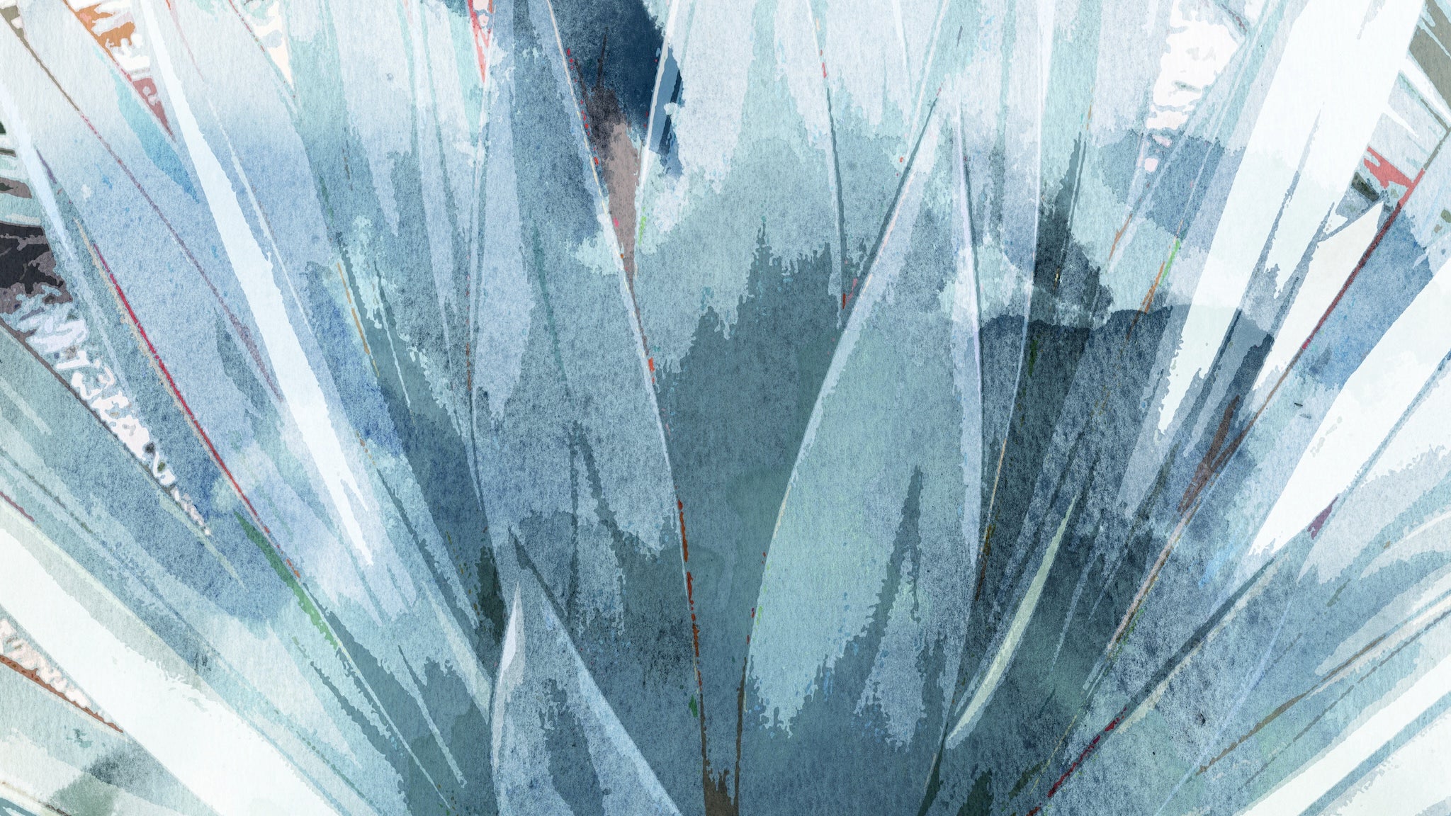 Cool Agave Wall Mural