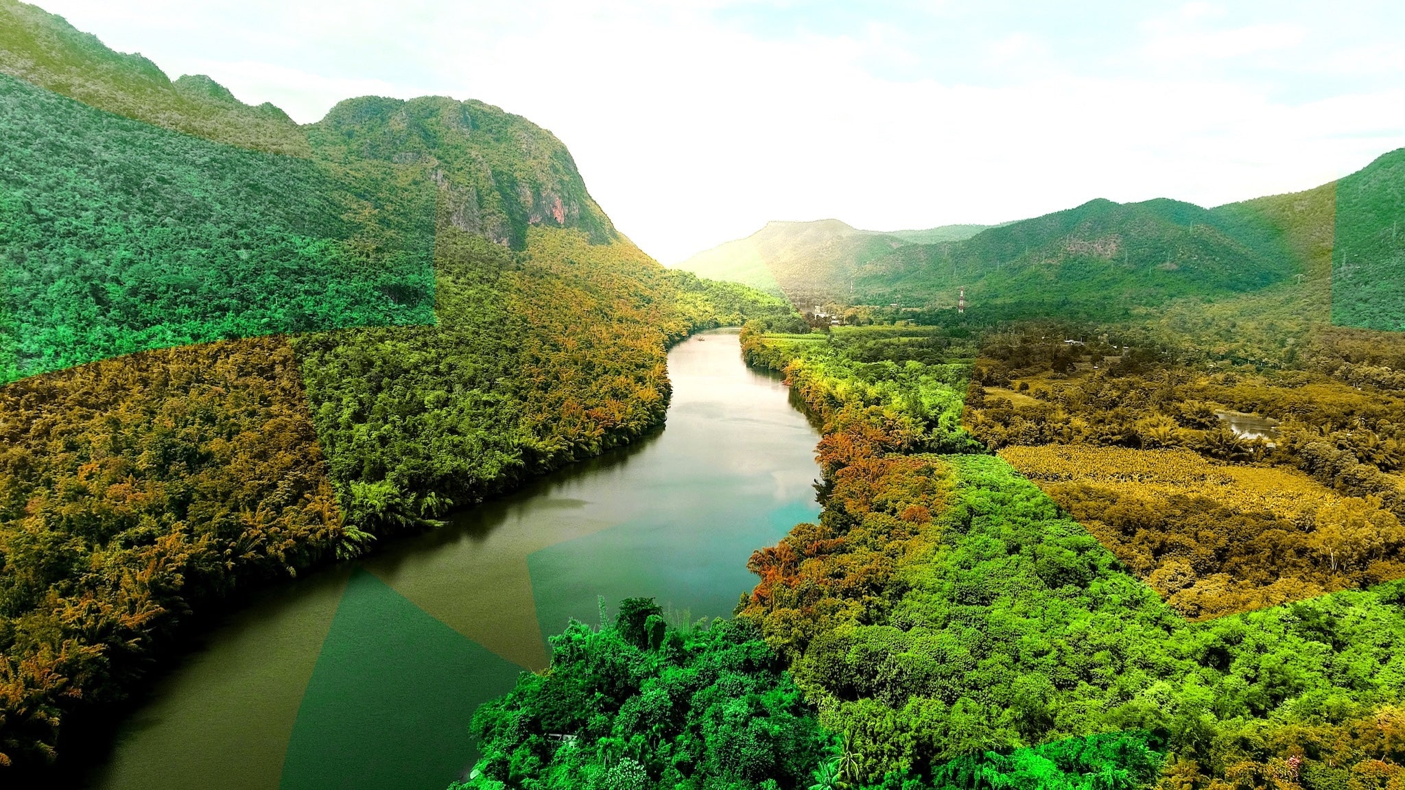 Winding River Wall Mural