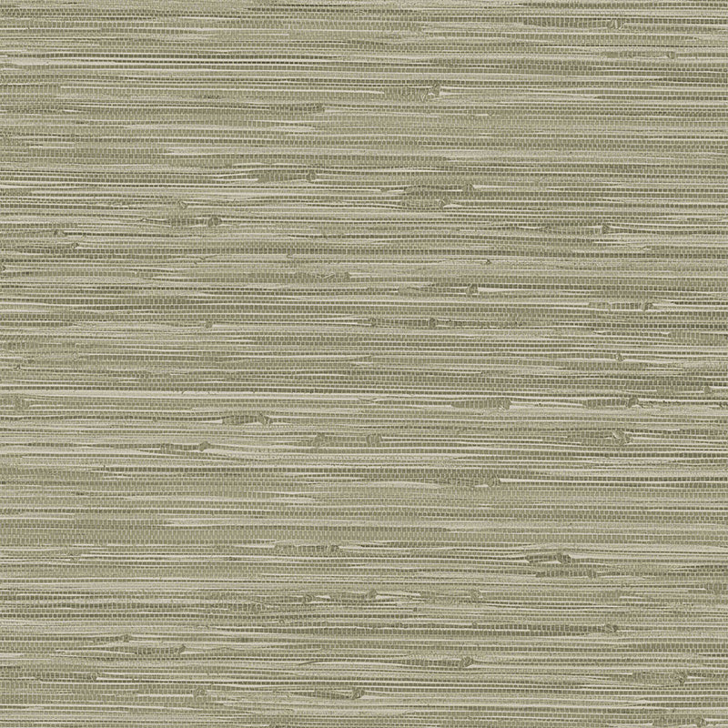 Elegance 10