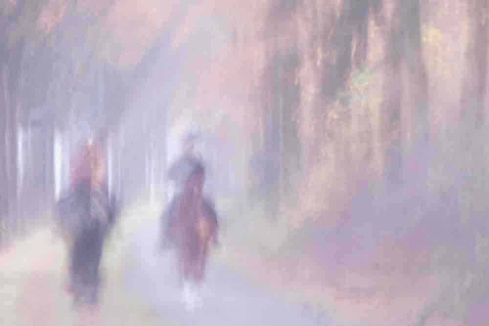 Riding Through Veils Of Illusion Wall Mural
