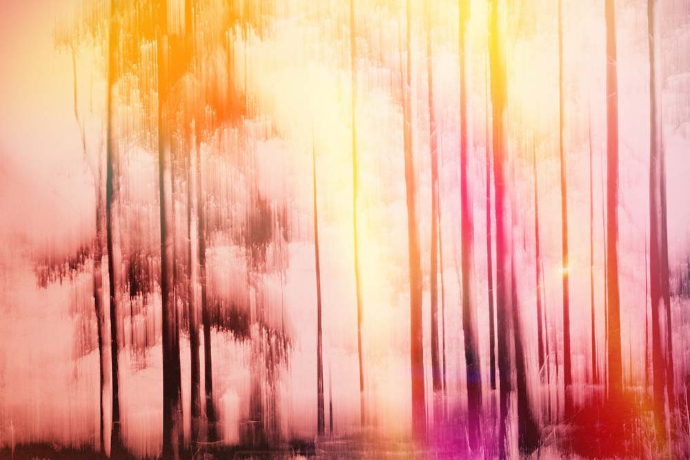 Colorful Day Wall Mural