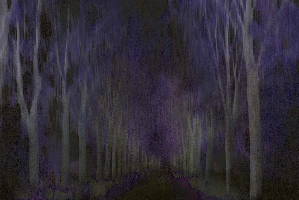 Wandering Through The Night Wall Mural