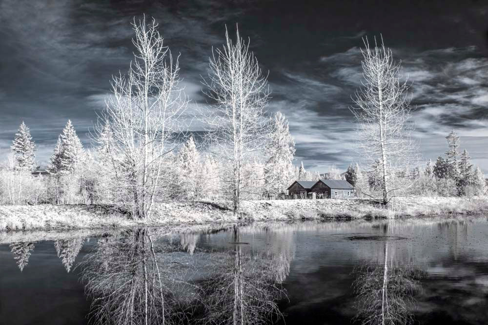 Farmstead Wall Mural