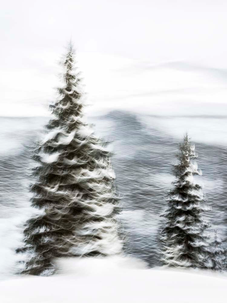 Snowy Trees 3 Wall Mural