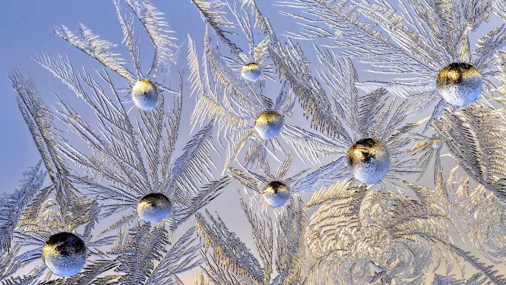 Frost Wall Mural