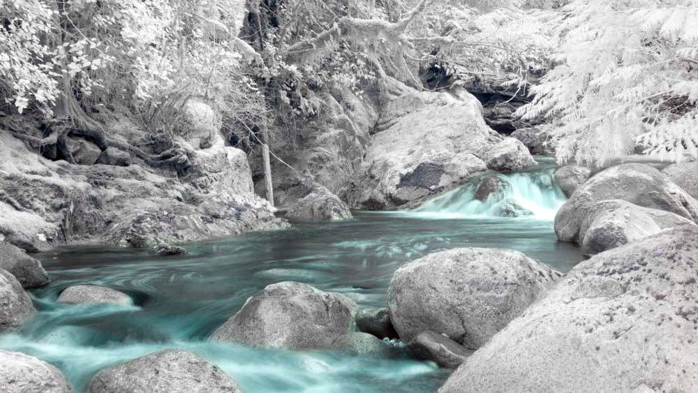 Wonder of Winter Wall Mural