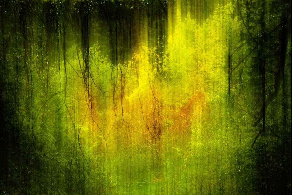 In My Dreams Wall Mural