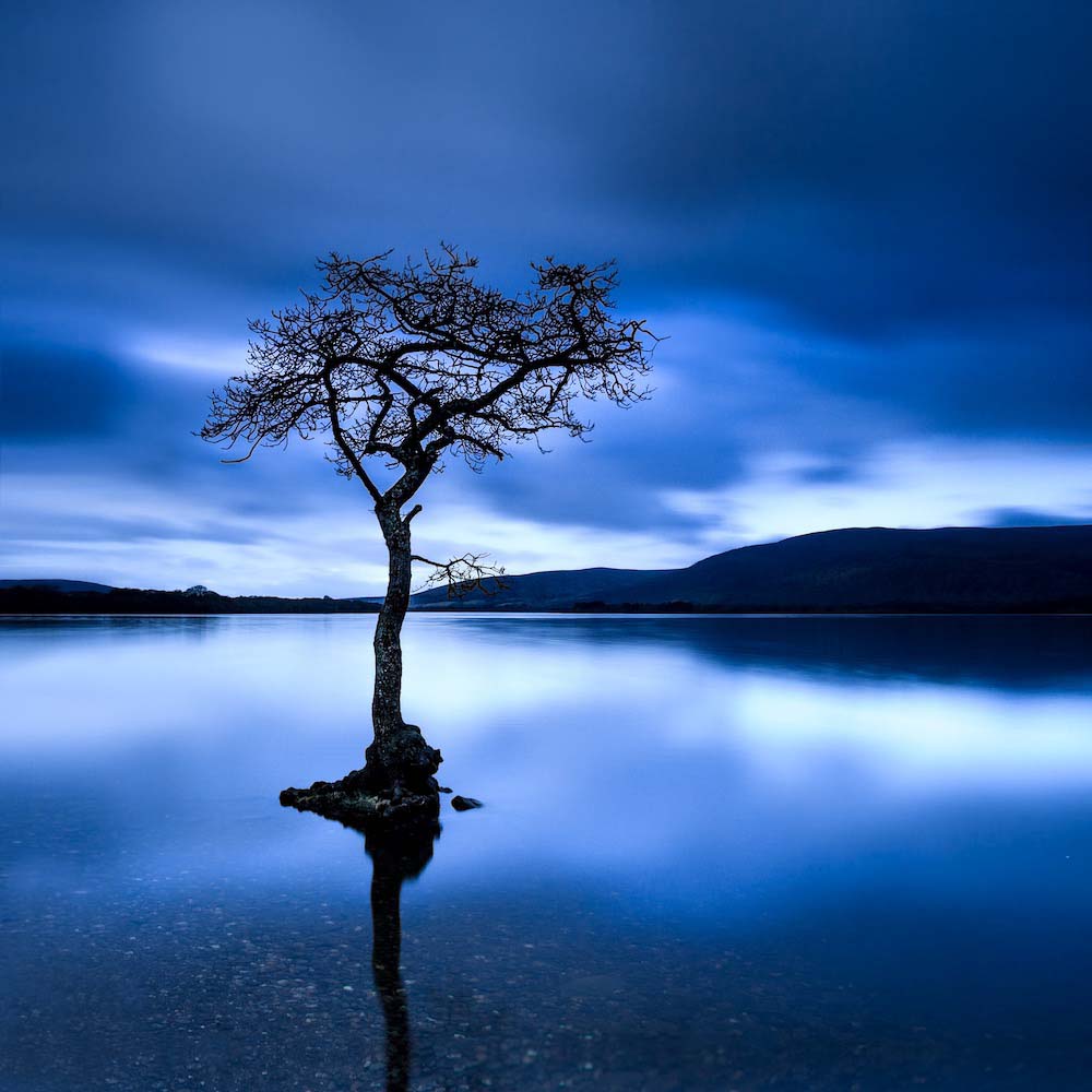 Day is Blue Wall Mural