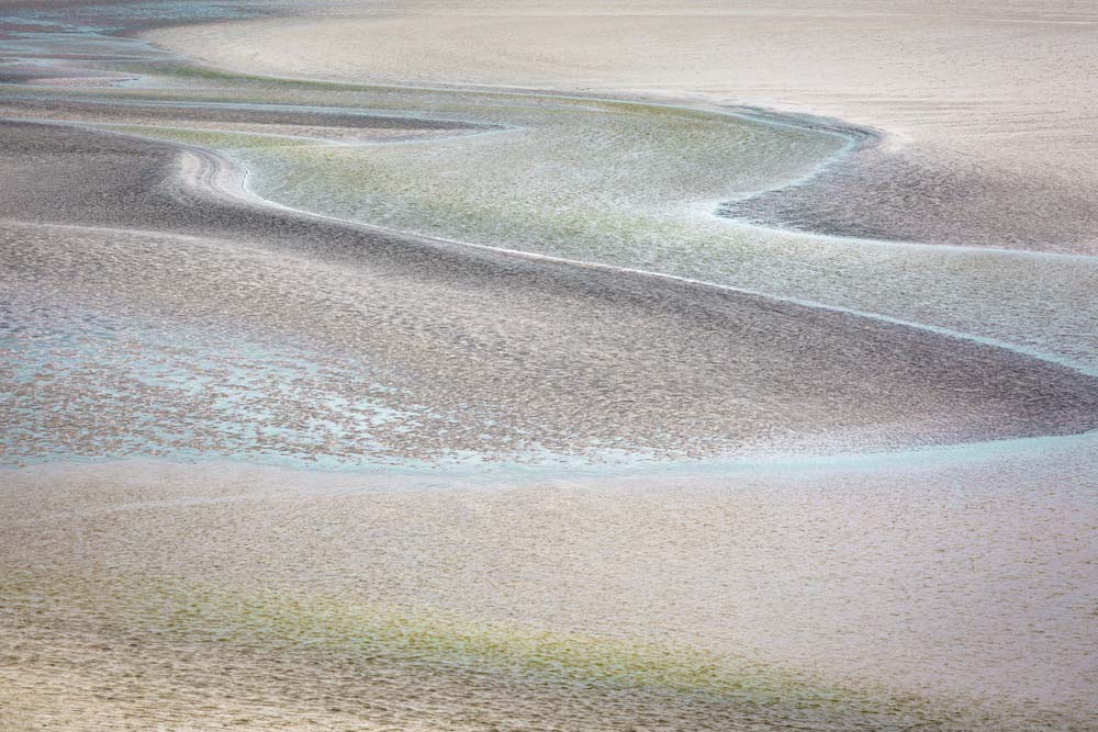 Low Tide Wall Mural