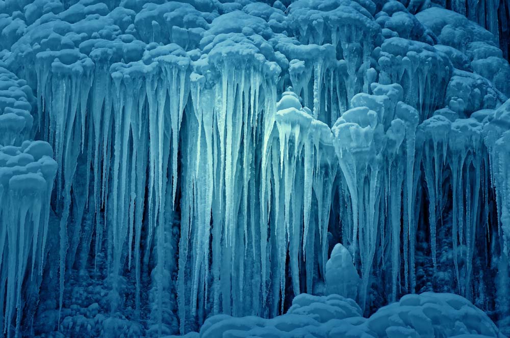 Jelly Fish Ice Wall Mural