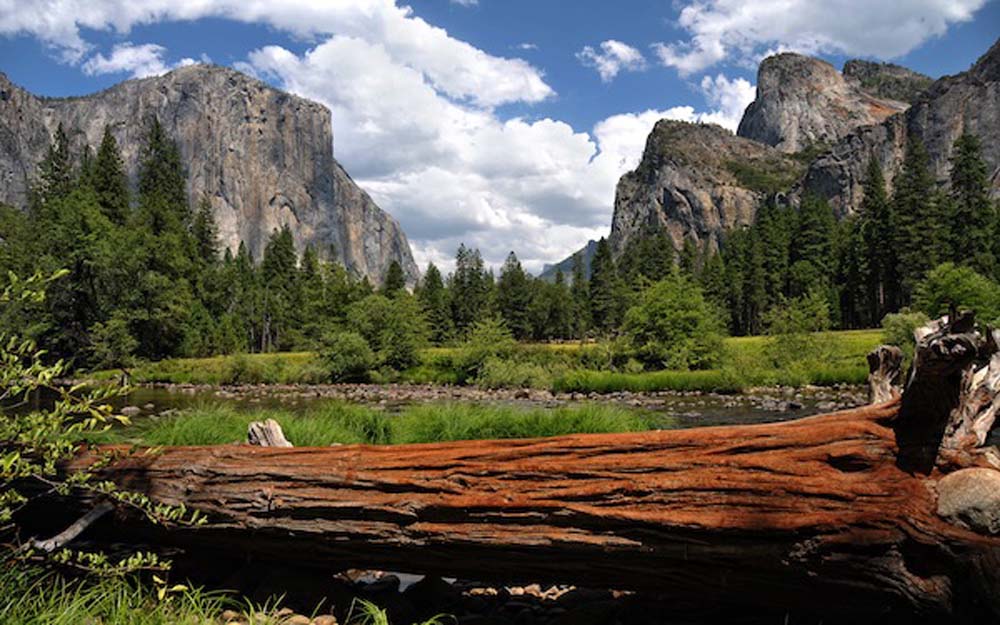 Yosemite Valley Wall Mural
