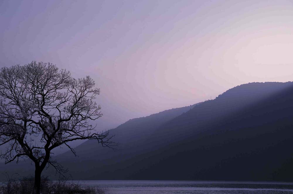 Purple Hours Wall Mural