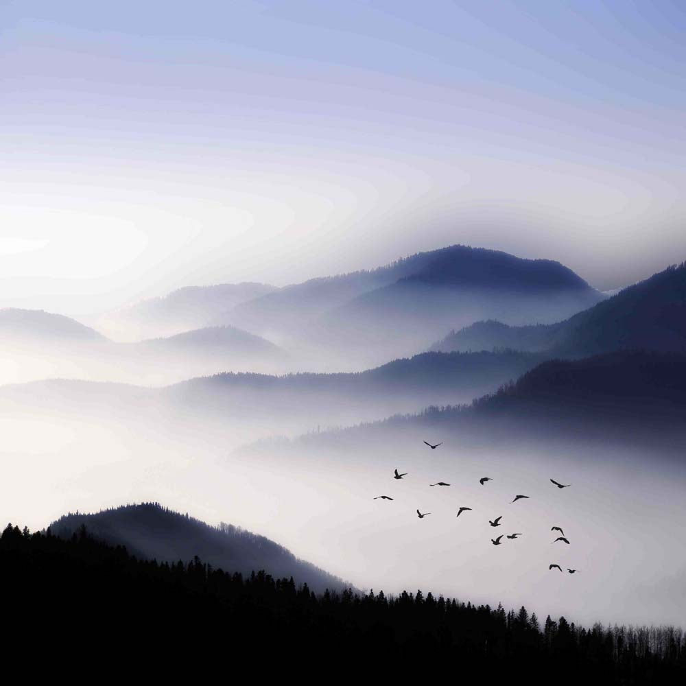Flying Over The Fog Wall Mural