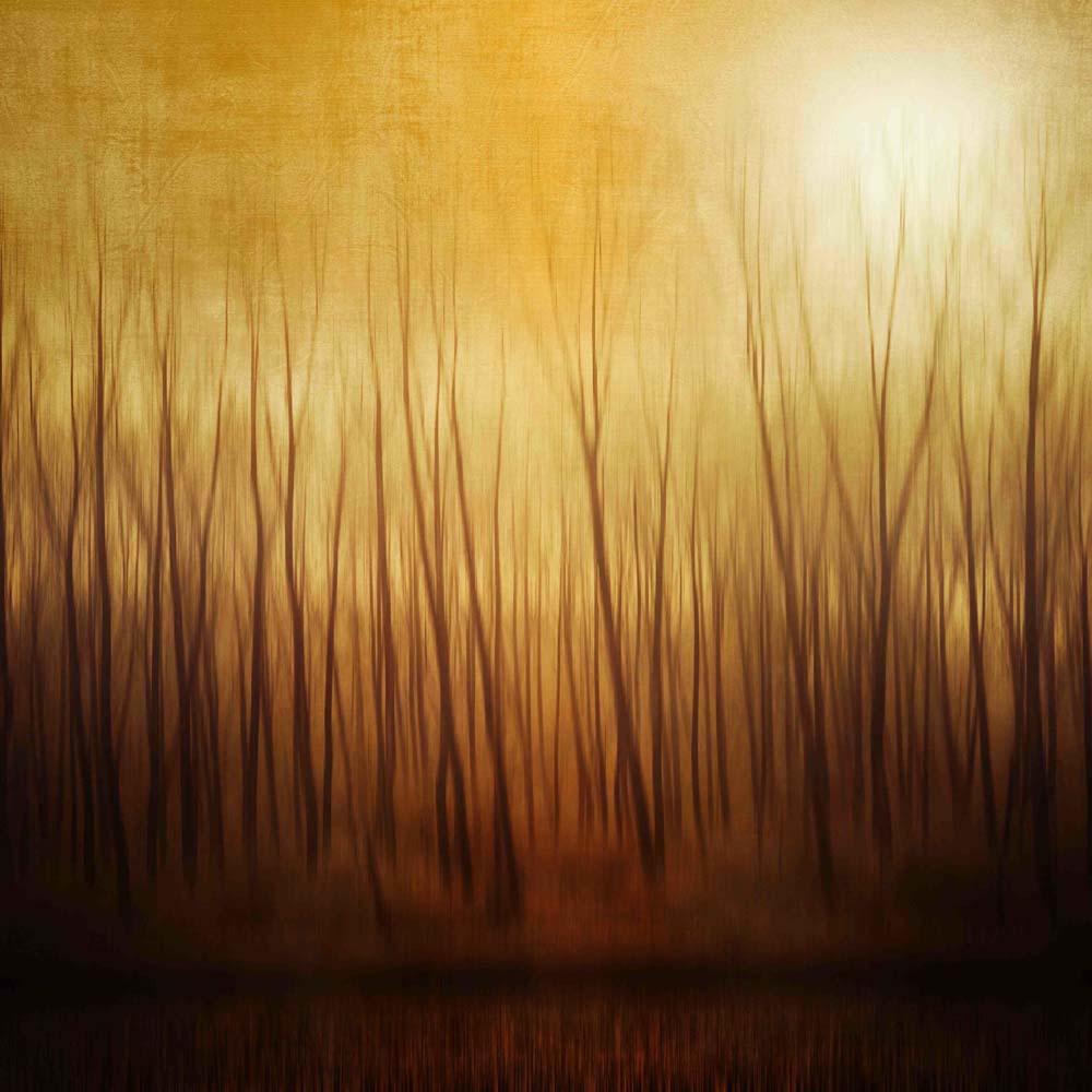 Ghost Forest Wall Mural