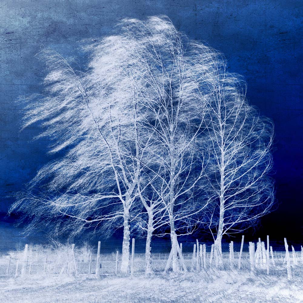 Blue Wind Wall Mural